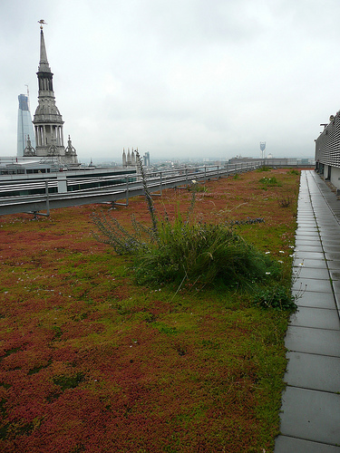 green roof, london ec2